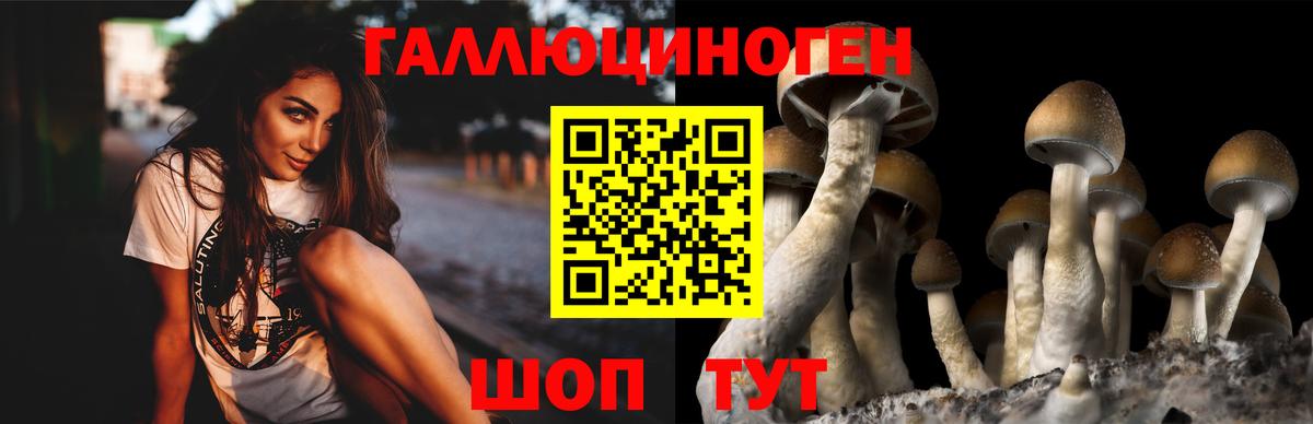 Галлюциногенные грибы Cubensis  Псилоцибиновые грибы мицелий  Нижнеудинск  Вход с VPN 