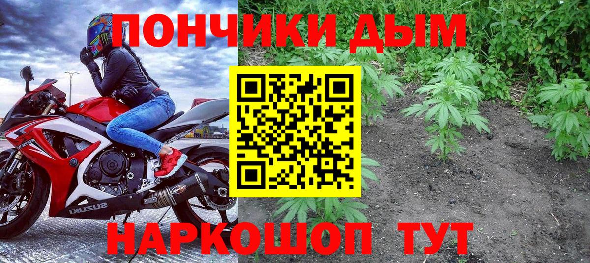 Бошки марихуана семена  Марихуана марихуана  Вход с VPN  Нижнеудинск  Конопля MAZAR 